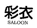 彩衣 SALOON