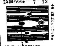 可口及圖