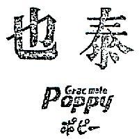 泰也 POPPY ポピ– 