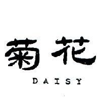 菊花 DAISY 