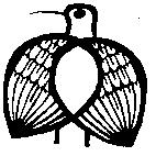 鳥圖