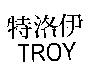 TROY 特洛伊
