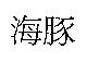 海豚