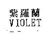 紫羅蘭 VIOLET
