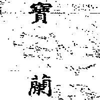寶蘭 (墨色)