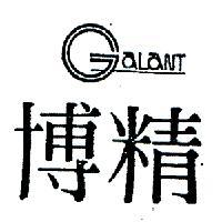 精博 GALANT 
