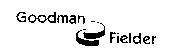 GOODMAN FIELDER Indentity