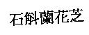 石斛蘭花芝