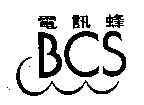 電訊蜂 BCS 及圖