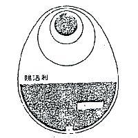 賜活利及圖