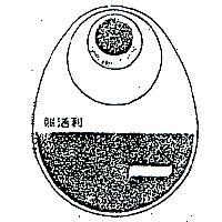 賜活利及圖