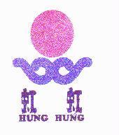虹虹及圖 HUNG HUNG