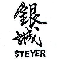 銀城 STEYER 