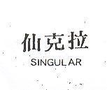 仙克拉 SINGULAR 