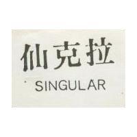 仙克拉 SINGULAR 