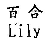 百合 Lily