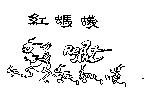 紅螞蟻 RED ANT 及圖