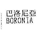 巴洛尼亞 BORONIA