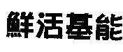 鮮活基能