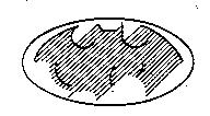 蝙蝠圖