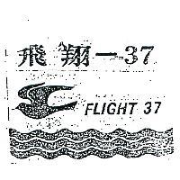 飛翔– 37 及圖 FLIGHT 37 