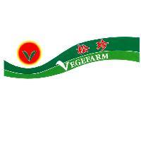松珍及圖 VEGEFARM