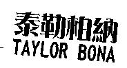 泰勒柏納 TAYLOR BONA