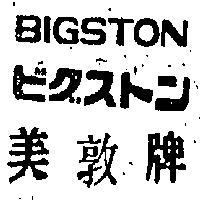 美敦牌 BIGSTON ビグスン 