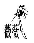 薇薇及圖