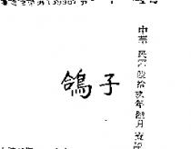 鴿子