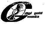 digi gold media 及圖