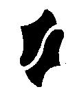 新企公司鞋型設計圖