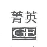 菁英 GE 及圖