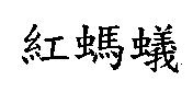 紅螞蟻