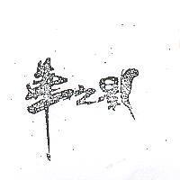 華之影