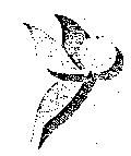 元上股份有限公司標章