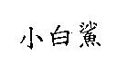 小白鯊