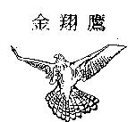 金翔鷹及圖