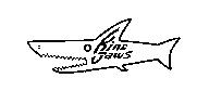 金鯊圖 KING JAWS