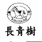 長青樹及圖 FOREVERYAN