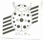 銀翼 Silver Wing 及圖