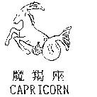 魔羯座及圖 CAPRICORN