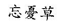 忘憂草