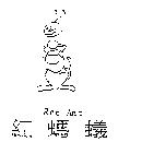 紅螞蟻及圖 Red Ant