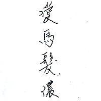 愛馬髮儂