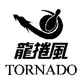 龍捲風 TORNADO 及圖