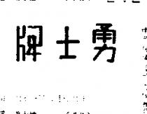 勇士牌
