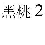 黑桃 2