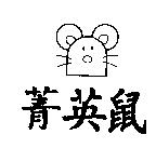 菁英鼠及圖