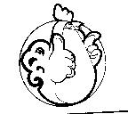雞圖
